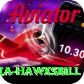 antigua hawksbill Plus v3.5.9