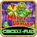 australian cricket Slots Gold v3.0.4