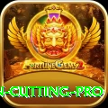 ben cutting Live Pro v5.8.6