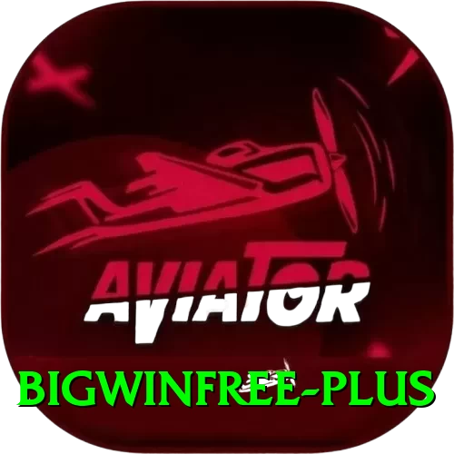 bigwinfree Pro Edition v4.4.9 - 2
