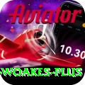 chris woakes - Champion v5.1.8