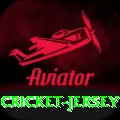 cricket jersey Gold Pro v4.8.2