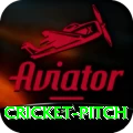cricket pitch Games (Casino & Earning) Max v2.1.1