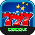 crickex Apps (Tools & Injectors) Plus vv4.2.3