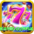 david gower Deluxe Pro v3.6.3