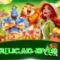 dunai suligad river Apps (Tools & Injectors) VIP v1.5.2