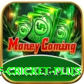 god of cricket Official v2.3.9