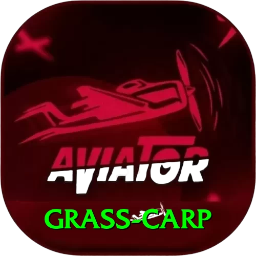 grass carp Premium Plus v2.6.7 - 2