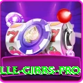 herschelle gibbs Gaming Turbo v4.6.8