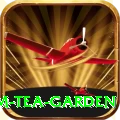 hile ilam tea garden Plus Edition v2.2.9