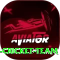 hong kong cricket team Pro1 v2.0.1