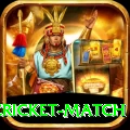 india pakistan cricket match Elite v2.6.3