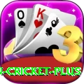 india pakistan cricket - Master v3.8.1