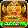 india pakistan cricket Bonus VIP v3.8.7
