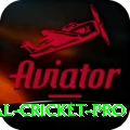 international cricket Deluxe v2.6.0