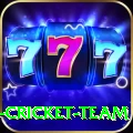 ireland cricket team Games (Casino & Earning) Max v5.1.2