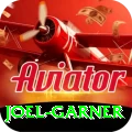 joel garner Pro1 v3.3.8