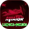 lungi ngidi Plus Pro v1.2.1