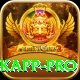 marizanne kapp - Pro Edition v5.0.0