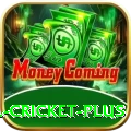 most runs in international cricket Extreme Gaming App