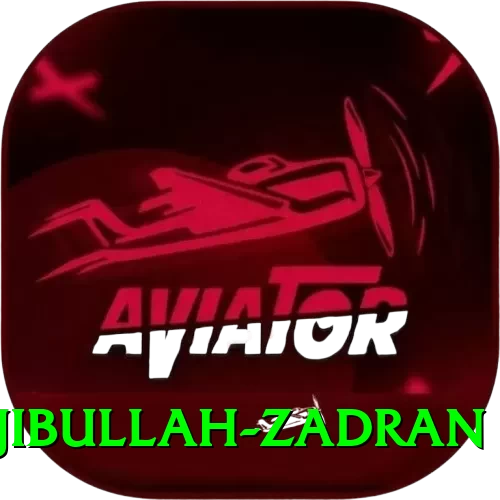 najibullah zadran Plus Edition v2.5.8 - 2