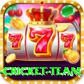 netherlands cricket team Games (Casino & Earning) Deluxe v5.4.3