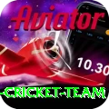 pakistan women cricket team Premium Edition v3.2.6