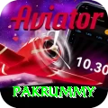 pakrummy Apps (Tools & Injectors) VIP v1.1.8