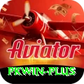 pkwin Max v3.3.1