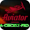 sri lanka cricket Game Pro v5.8.2