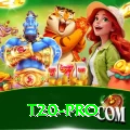 t20 Casino Pro v3.5.9