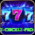 test cricket Casino Deluxe v5.1.4