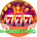 willow cricket Money Ultimate v2.8.8